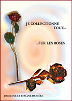 JE COLLECTIONNE TOUT...SUR LES ROSES